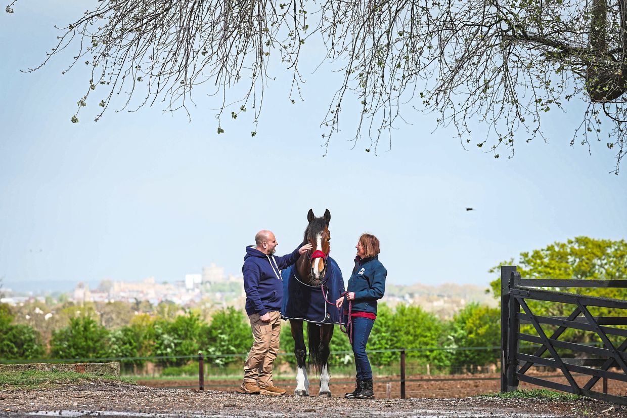 Warrior Equine founder and CEO Milwright (right) works with Morton, who was diagnosed with complex PTSD after a mental health breakdown.