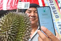 Farmers go high-tech to fight fake Penang durians