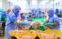Vietnam's seafood exports poised to rise by US$1 billion this year