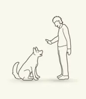 When training your dog, consistency is a big part of the process