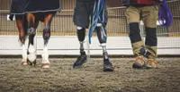 Horses turn out to be unlikely saviours for those who serve in uniform
