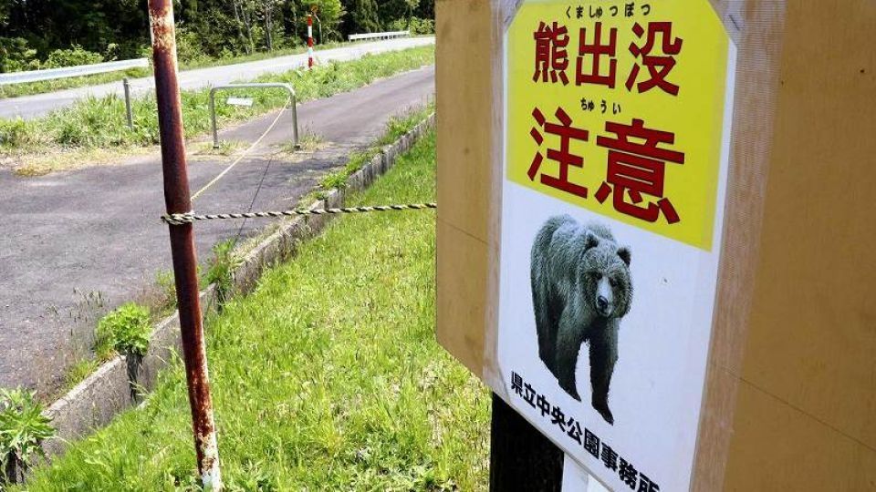 Bear attacks killed 13 people in Japan last year, more than twice the previous high, and in 2026 so far there have already been three suspected human fatalities to bears.