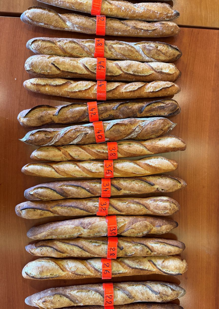 Baguettes are line up, ready for the Grand Prix de la Baguette. Photo: Michael Evers/dpa