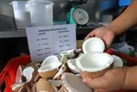 Pricier coconuts, cheaper rice