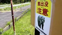 Japan bear sightings double in year to March