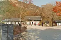 Boy, 11, found dead two days after going missing in South Korea national park