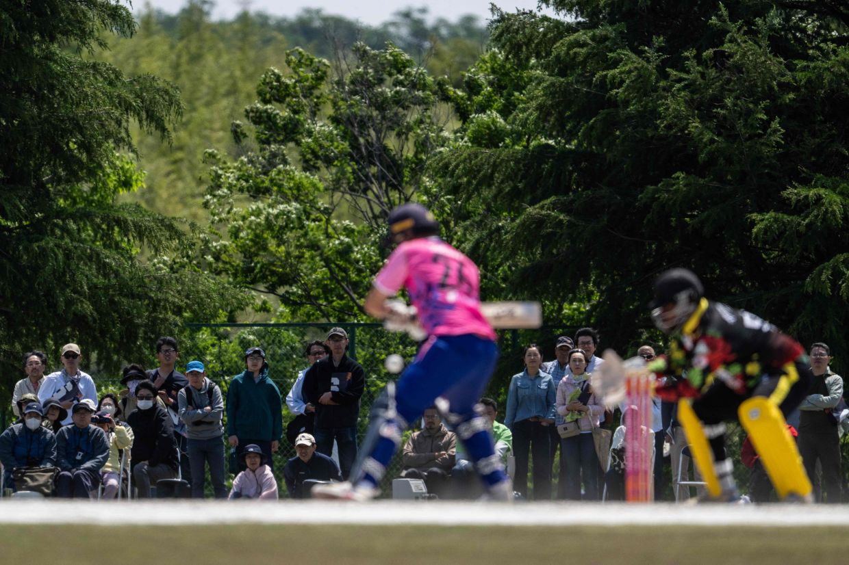 Japan is stepping up efforts to popularise cricket ahead of the Asian Games with a newly built ground near Nagoya set to host matches later this year.