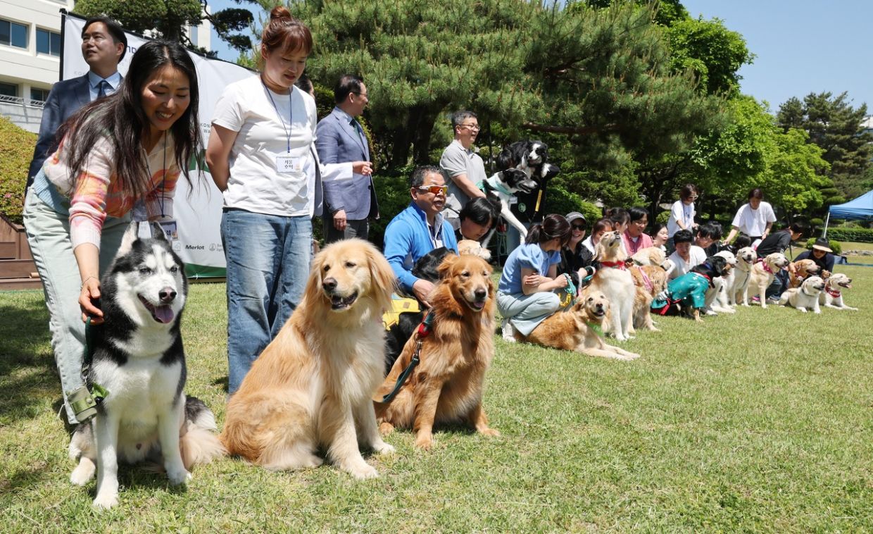 Donor dogs and their owners pose for a photo during the “Thank you, donor heroes!” event at Konkuk University in Seoul on Wednesday. - Photo: Yonhap
