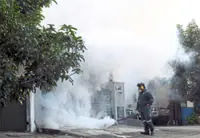 El Nino may cause spike in dengue