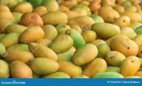 Cambodian mango growers eye sweeter slice of global market fuelled by growing appetite