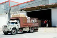 UN food agency halves Syria food aid, halts bread subsidy over funding shortages