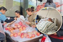 China farmer suffers stroke while selling 4,000kg of apples; hospital staff clear truck-laden stock in 19 hours