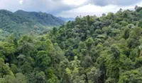 New permanent forest reserves identified, to be gazetted