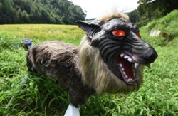 Japan 'robot wolves' in high demand to scare off bears