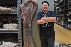 Scientists dig up Southeast Asia's largest dinosaur in Thailand