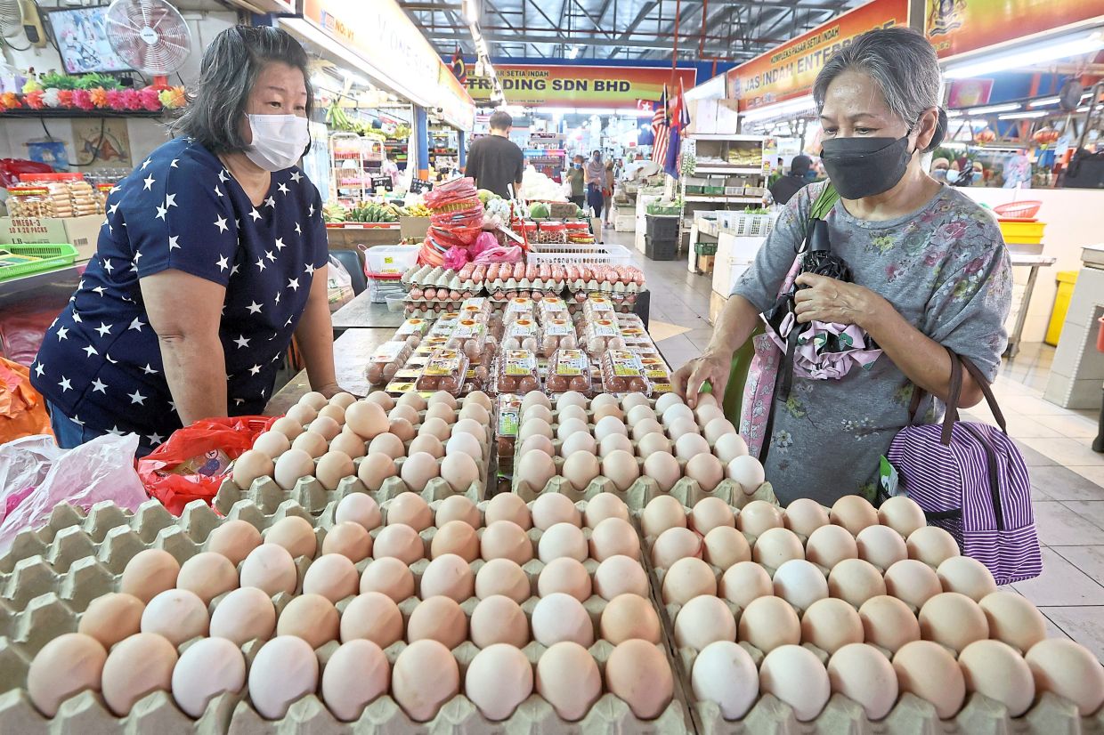 Research shows that the fat content in animal feed has a direct impact on the fat content humans consume when they eat those animals or their products. — Filepic