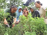 Urban farming project empowers seniors, boosts food security