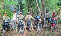 Cambodian forest rangers poisoned by wild fungi