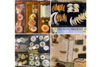 Antiques trader nabbed in wildlife crime op, suspected tiger teeth seized