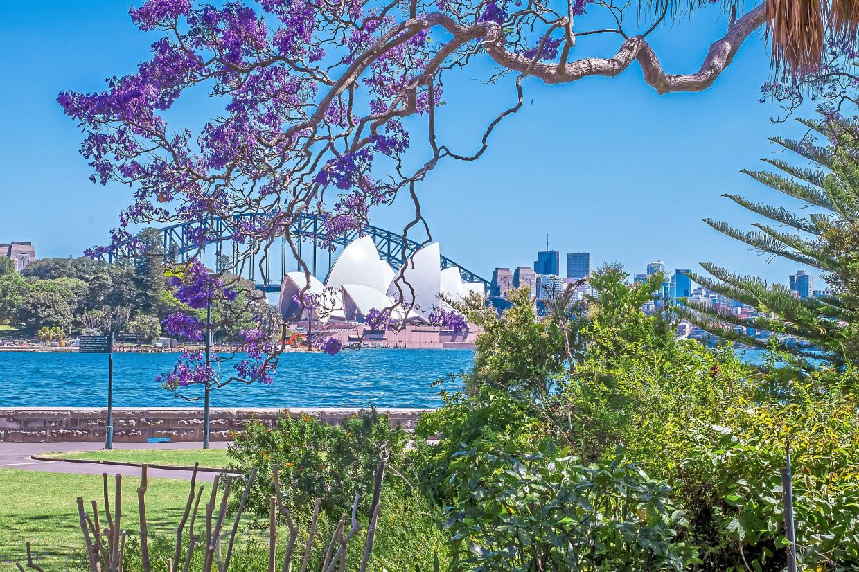 Take a leisurely walk at Royal Botanic Garden.