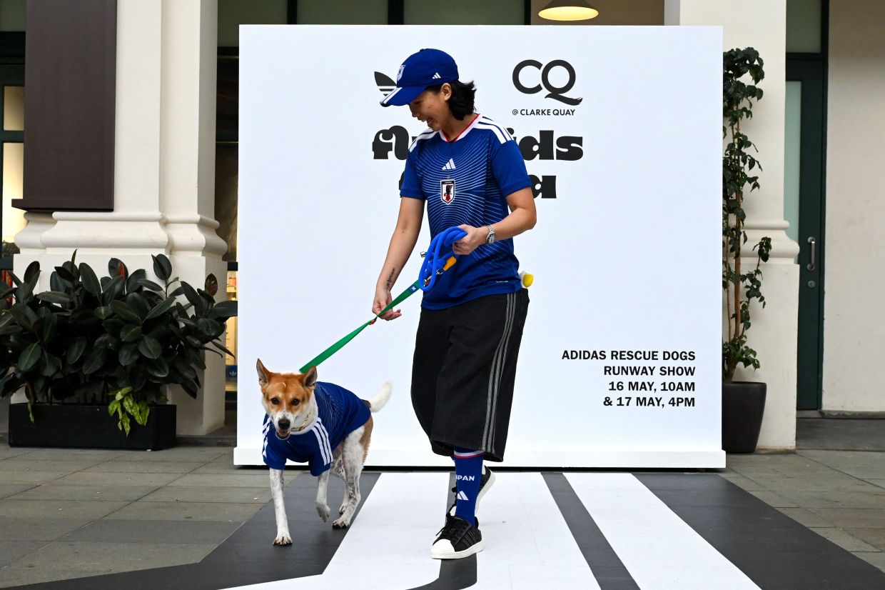 Sportswear giant Adidas is giving pet lovers in the city-state a novel way to show team spirit -- football shirts for their four-legged friends.