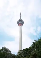 LSH’s towering feat