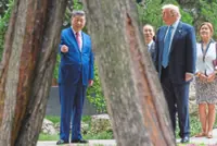 Ancient trees take spotlight summit
