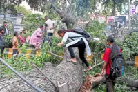 ‘I thought I would not survive’