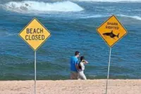 Man in critical condition after shark attack in western Australia