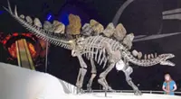 London’s museum scene is struggling. Can new venues revive it?