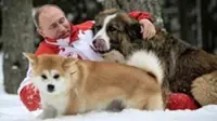 Yume the Akita dog gifted by Japan to Putin dies