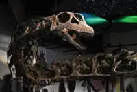 South-East Asia's largest dinosaur, identified in Thailand, confirmed by top British and local experts