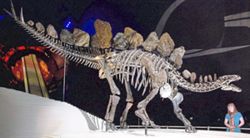 London’s museum scene is struggling. Can new venues revive it?