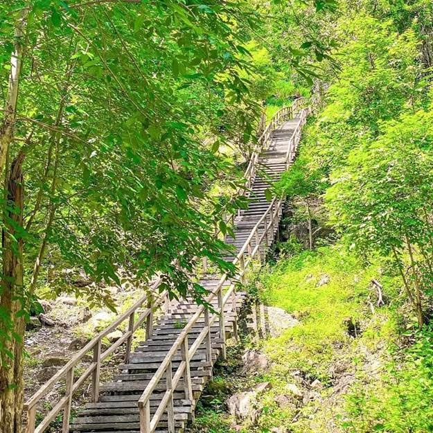 K’nar Temple and the 1,181 wooden stairs of Dangrek Mountain. - Photo: Oddar Meanchey information department