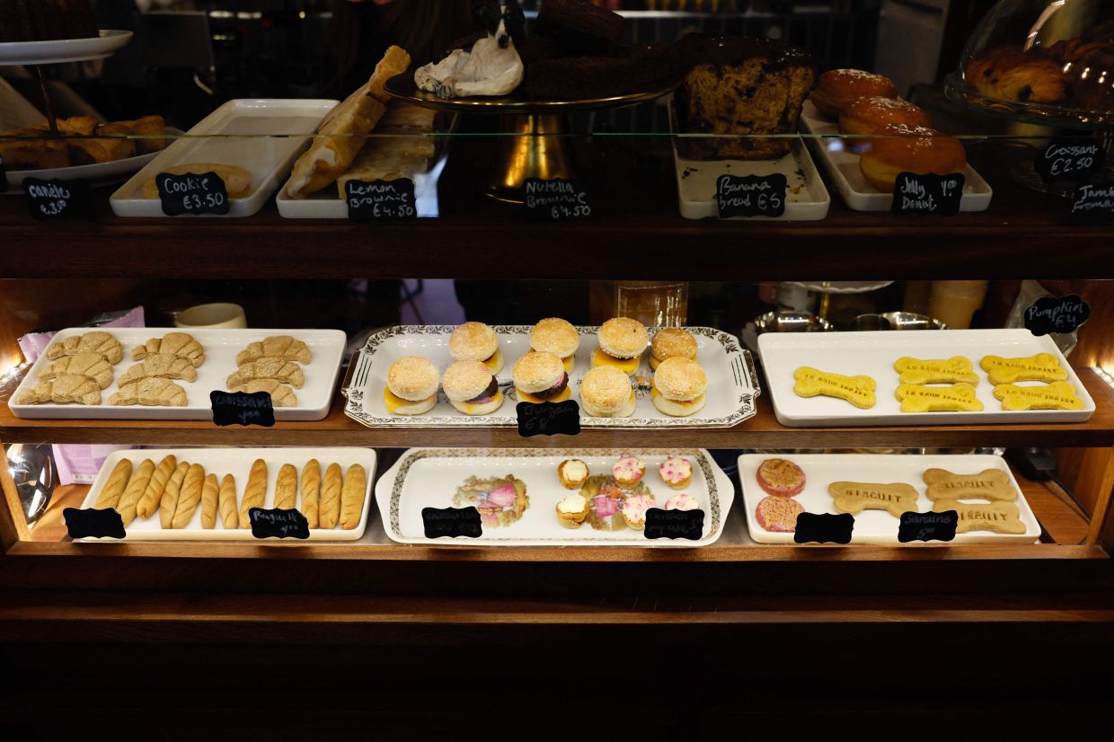 Dog pastries (bottom) and human pastries are displayed for sale at 'Le Bonne Appart' dog cafe in Paris.