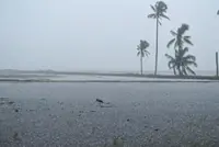 Fields in climate turmoil