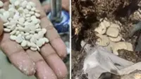 India drug bust seizes 227 kg of captagon in first big haul