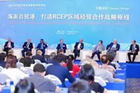 RCEP holds strategic edge