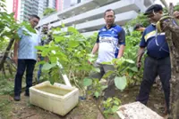 MBPJ cracks down on illegal farming, encroachment at Damansara Damai park