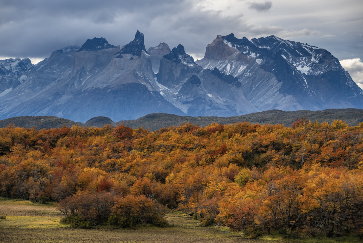 Domina tus habilidades fotográficas en los paisajes salvajes de la Patagonia.