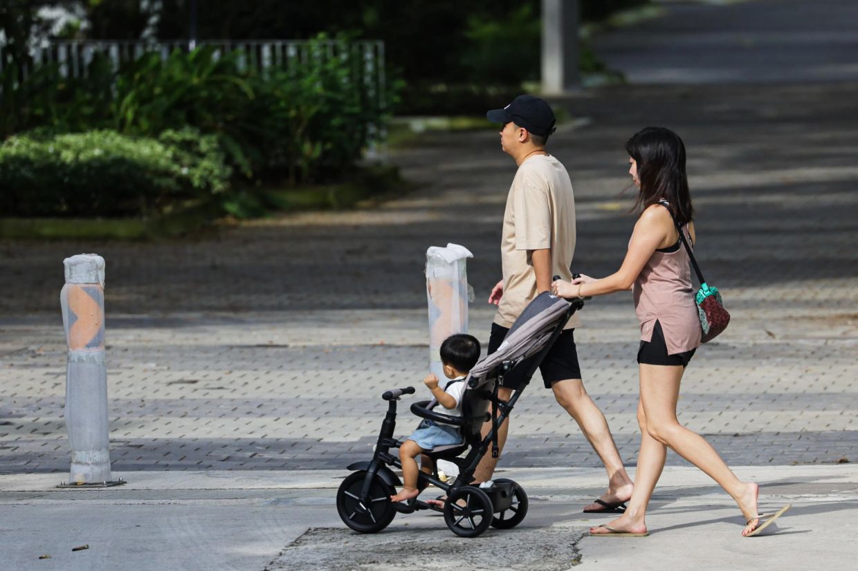 Warum Singapurs Fruchtbarkeitskrise teilweise eine Bildungskrise ist - | ...