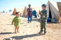 Witnessing the Iraq war
