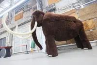 A community in Germany got together to crochet a woolly mammoth