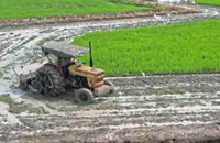 Over half of Kedah's padi fields now at ploughing stage, says Mat Sabu
