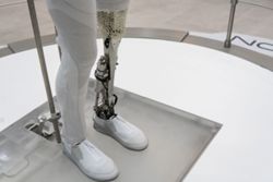 Robotics CEO vows no intervention in humanoids’ viral trial run