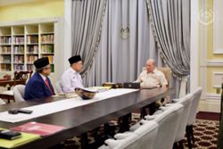 King grants audience to Anwar after PM raises possibility of snap polls