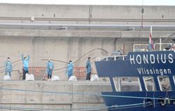 Outbreak on board! An infectious disease on a ship is a feared occurrence