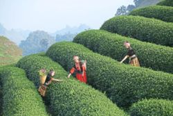 The experiences sector is the third largest in the travel industry