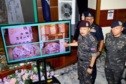 Almost 170 tonnes of frozen meat seized in Kajang