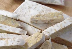 QuickCheck: Can eating tempeh improve your gut health?